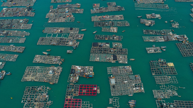 DM_20230203115637_009