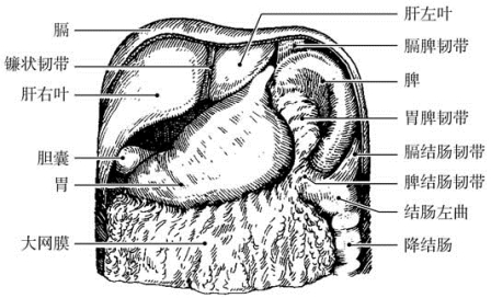 pagenumber_ebook=501,pagenumber_book=486