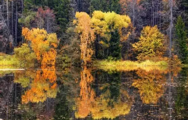 20171026202806_a0rx9mr08g 20171026202806_a0rx9mr08g.png?v=1773792016374