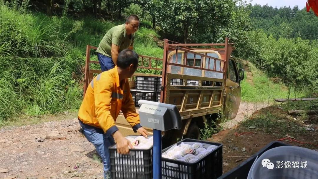 微信图片_20210822084707 微信图片_20210822084707.jpg