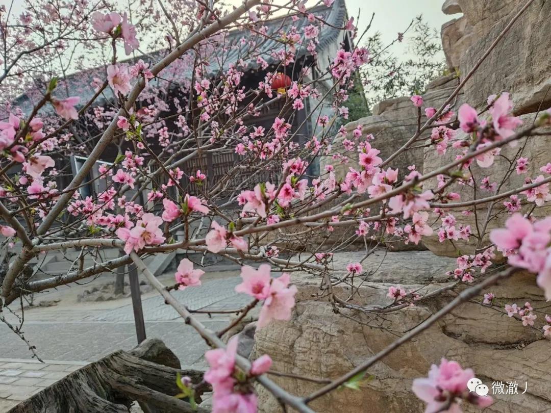 微信图片_20210406105852