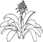 pagenumber_ebook=262,pagenumber_book=262