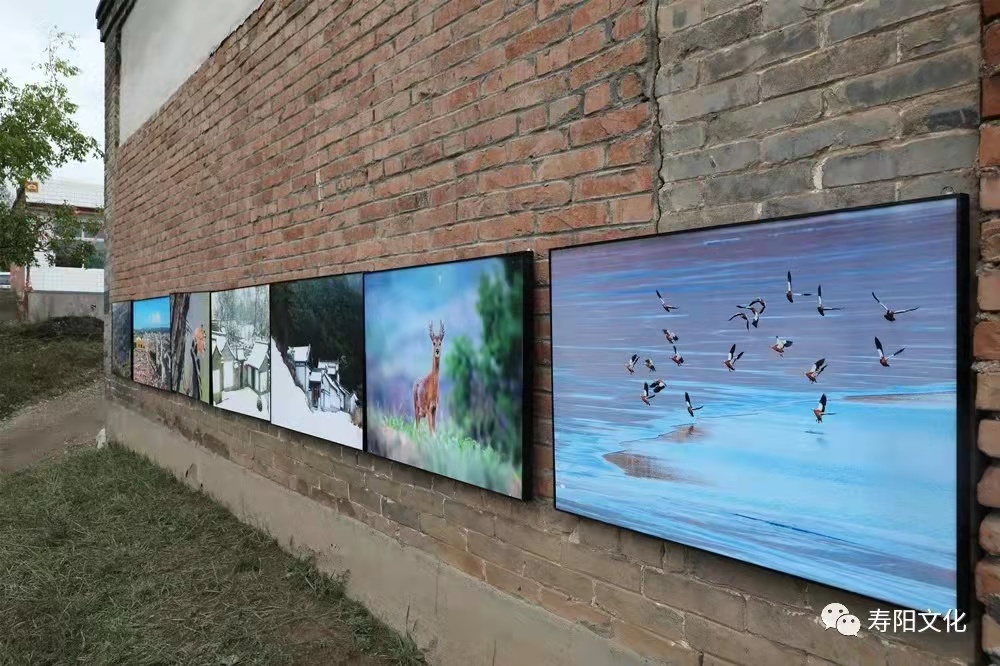 74a08545be0516a44f010b97f780b8d