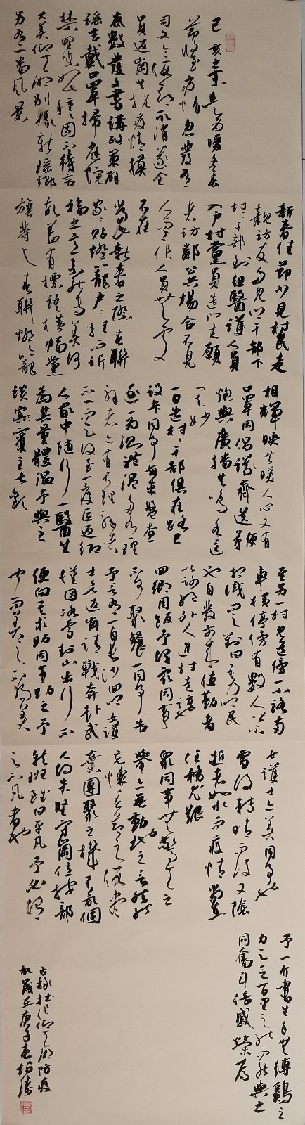 行草书,自作文《仰天湖防疫记》作者:柏涛~1