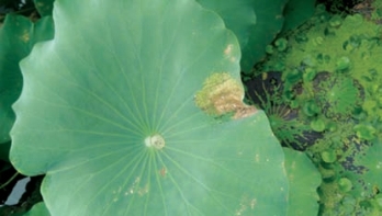 pagenumber_ebook=123,pagenumber_book=115