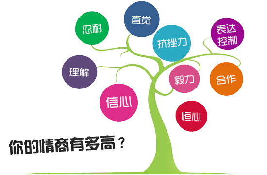 56e21163e4b0b07fe6c89b49.png