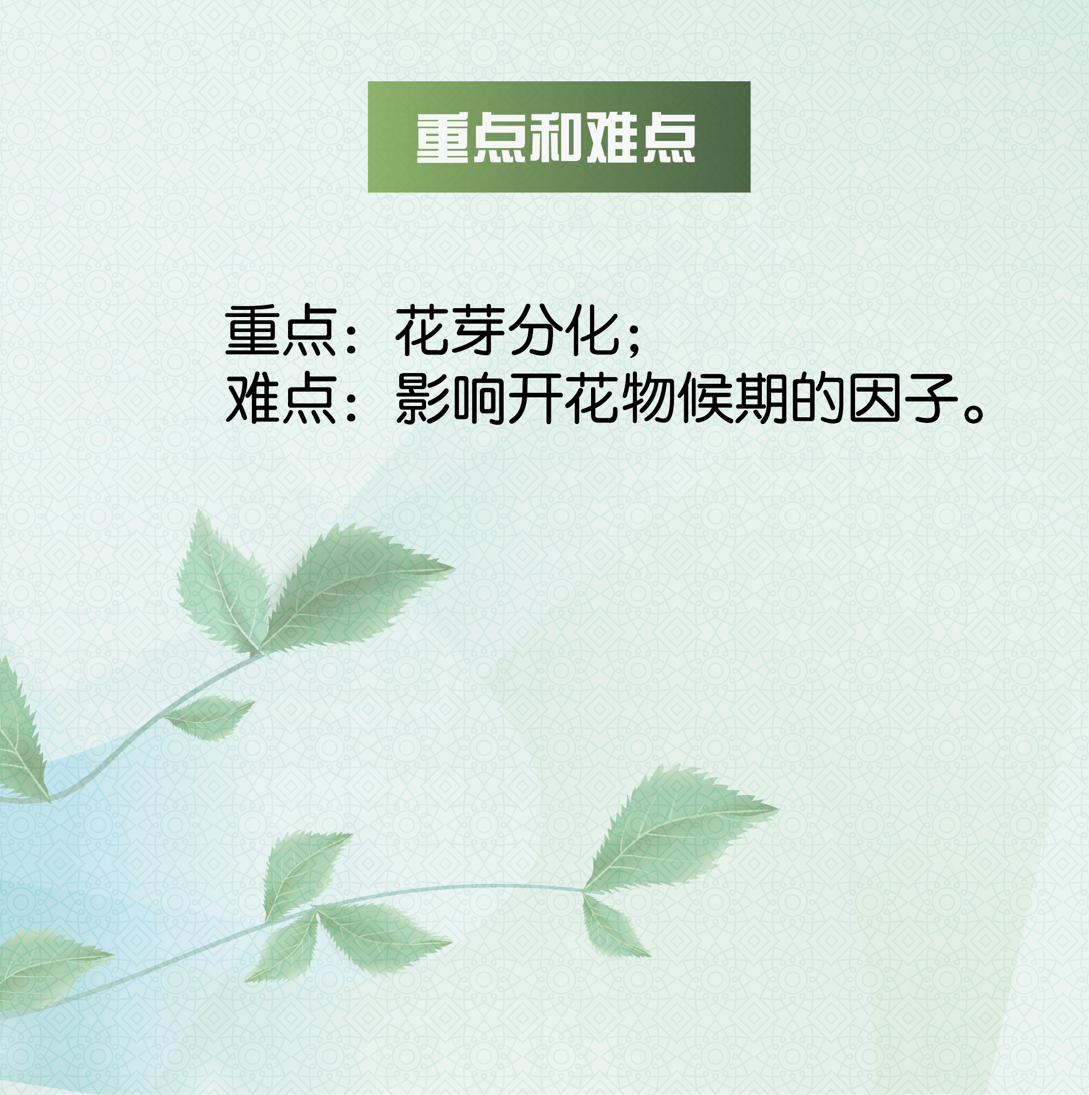 课程1-04-21.png