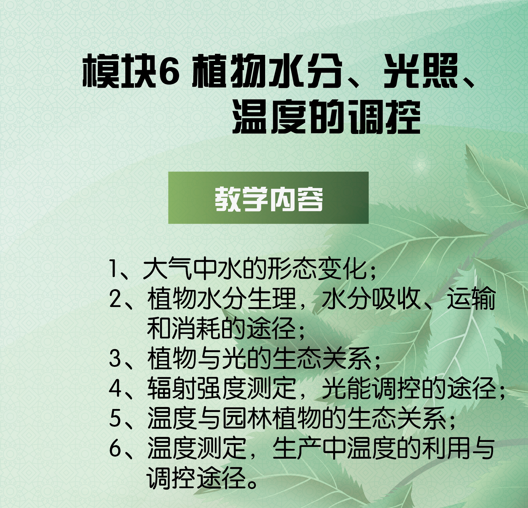课程1-06-101.png