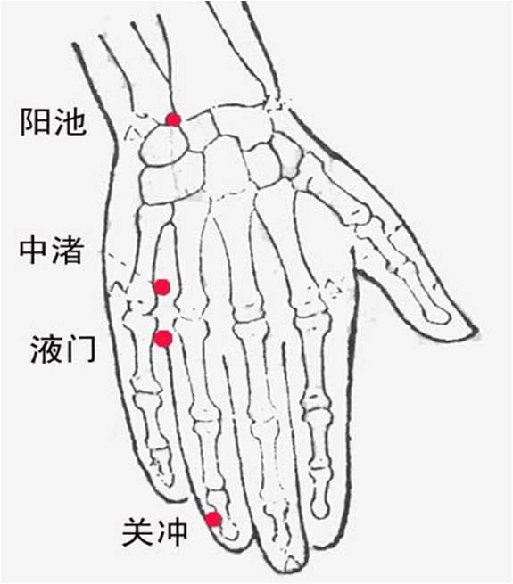 手少阳三焦经-腧穴定位-有图有真相