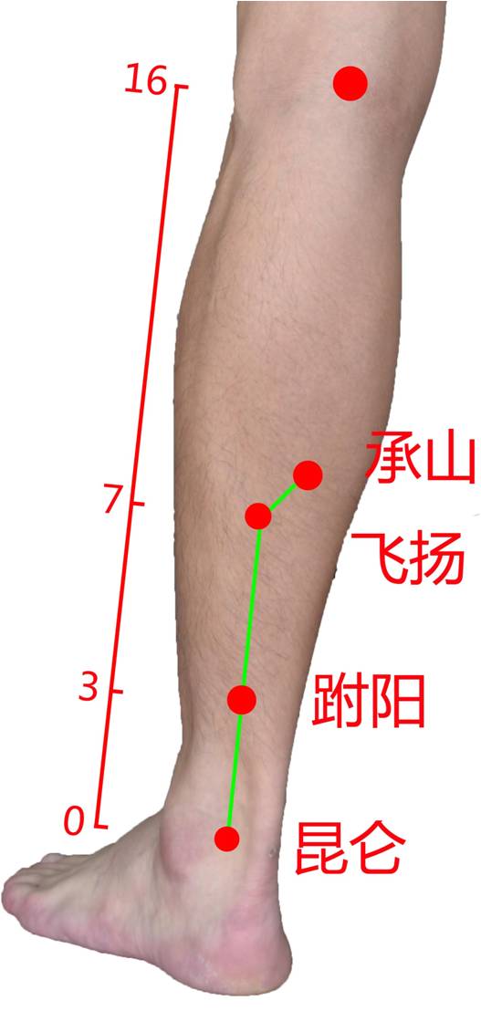 足太阳膀胱经-腧穴定位-有图有真相