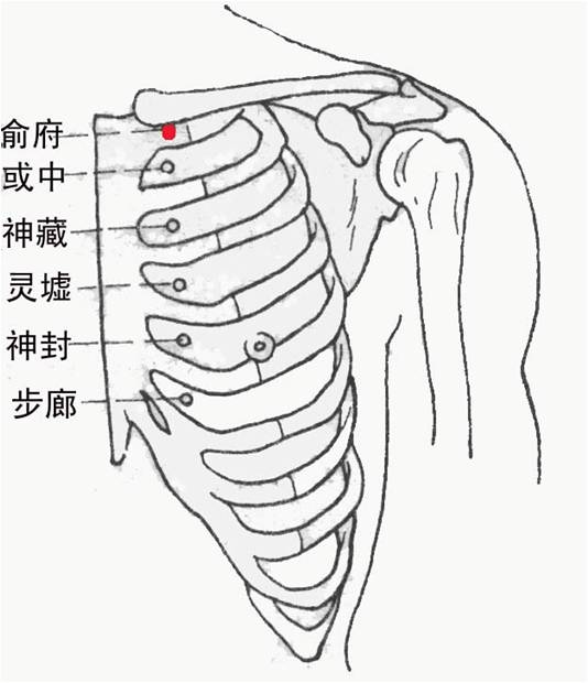 足少阴肾经腧穴定位有图有真相