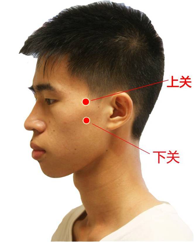 2 ,听会 gb2在面部,耳屏间切迹与下颌骨髁突之间的凹陷中.