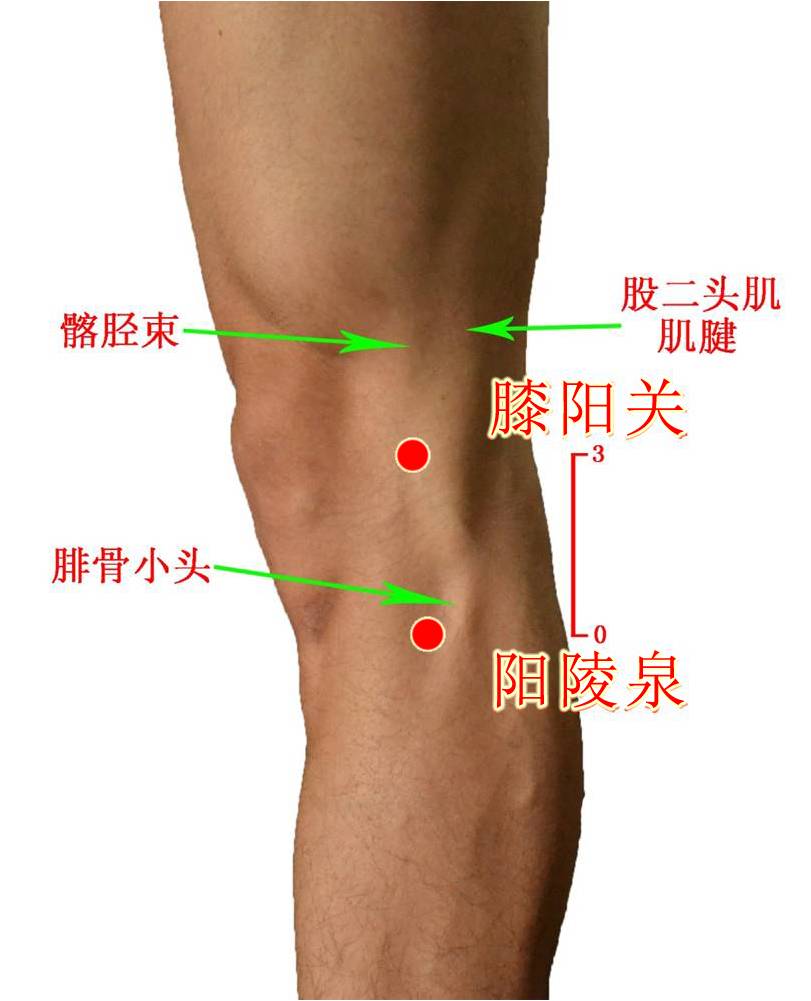 足少阳胆经腧穴定位有图有真相