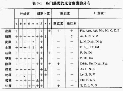 6 色素分布情况.jpg