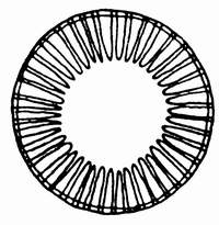 10 梅尼小环藻.jpg