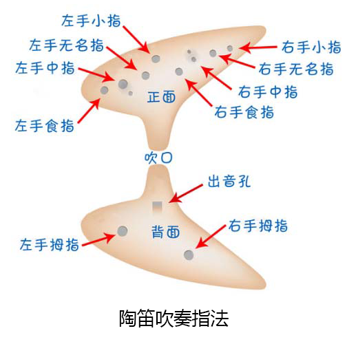 陶笛入门初学曲谱_陶笛入门曲谱(3)