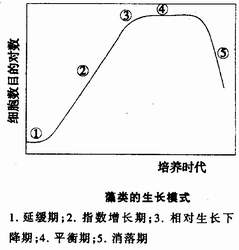 1 生长模式.jpg