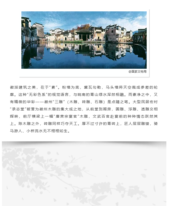 image.png?v=1789543802702