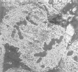 pagenumber_ebook=205,pagenumber_book=192