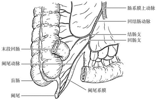 pagenumber_ebook=541,pagenumber_book=526