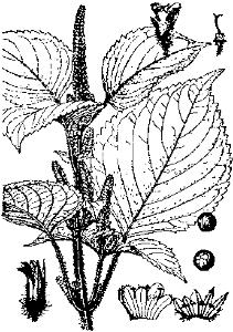 pagenumber_ebook=257,pagenumber_book=257