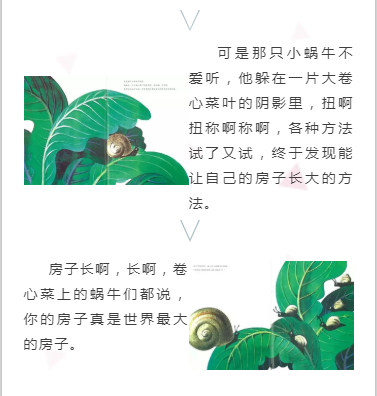 图片3 图片3.png?v=1772869187291