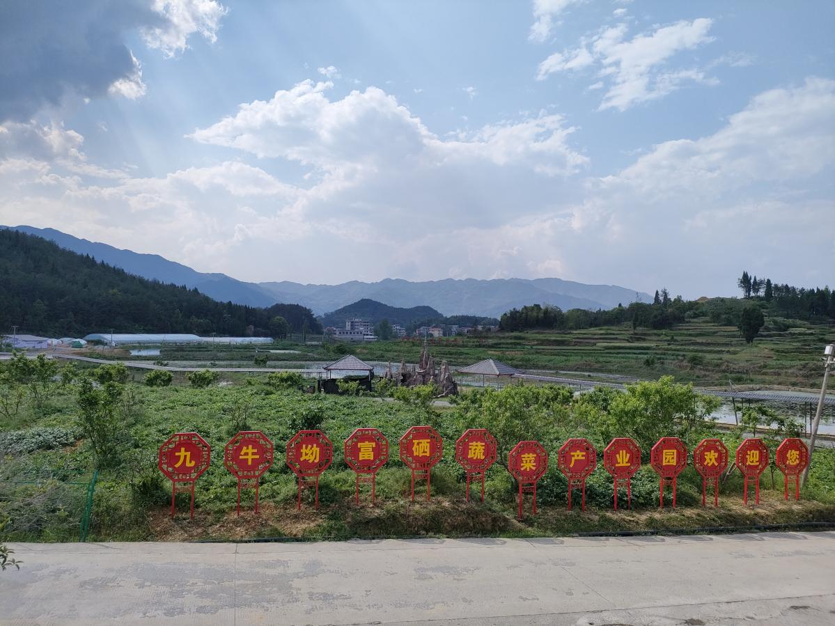 九牛坳富硒蔬菜产业园