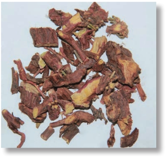 pagenumber_ebook=292,pagenumber_book=279