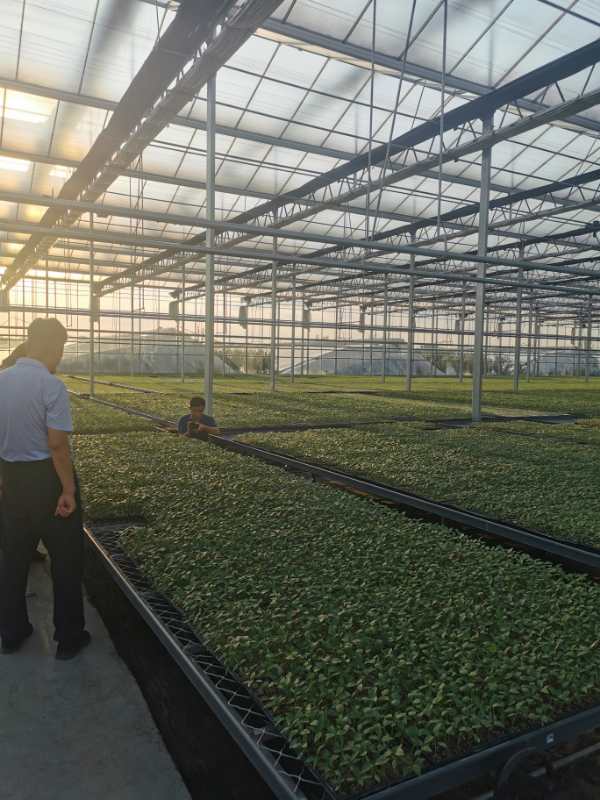 微信图片_20200824090424