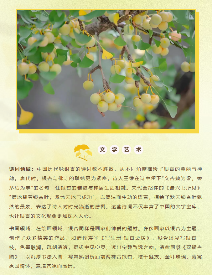 image.png?v=1762073802454