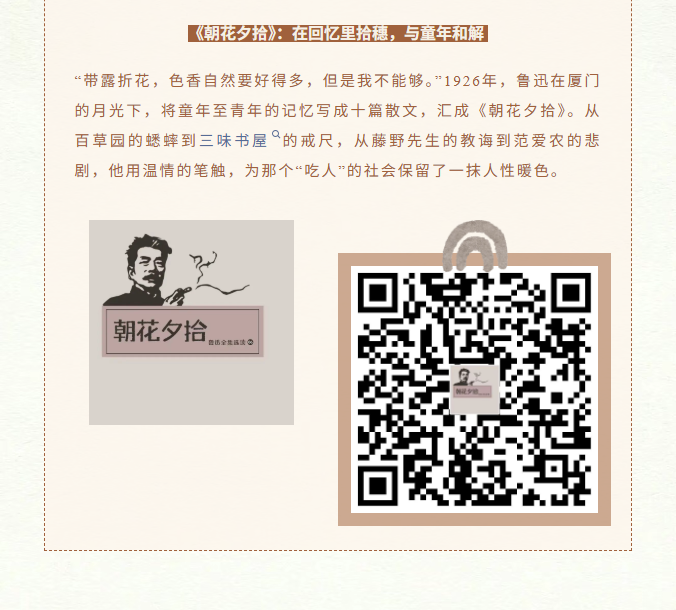 image.png?v=1762125931830