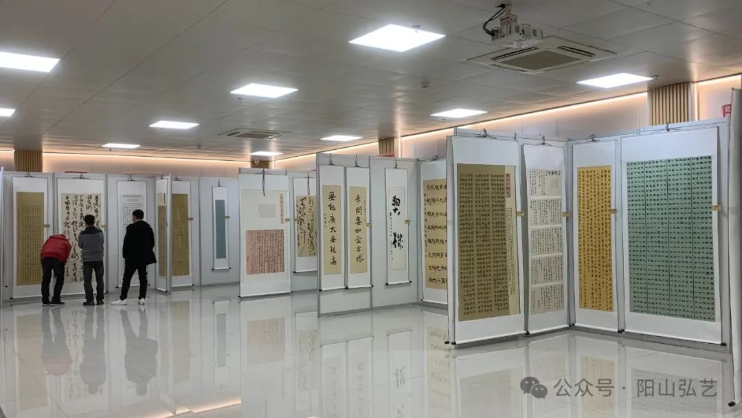 2 2.jpg?v=1772870153787