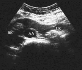 pagenumber_ebook=620,pagenumber_book=620