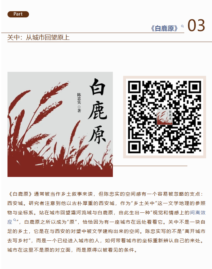 image.png?v=1793225999296