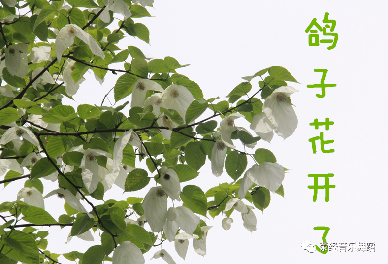 微信图片_20201225162122 微信图片_20201225162122.png