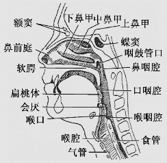 pagenumber_ebook=41,pagenumber_book=28