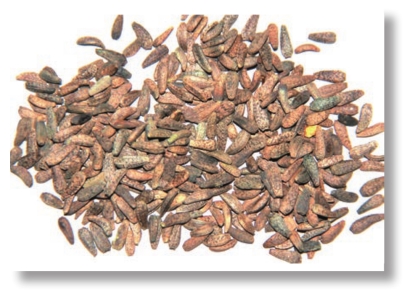 pagenumber_ebook=28,pagenumber_book=15