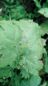 pagenumber_ebook=132,pagenumber_book=124