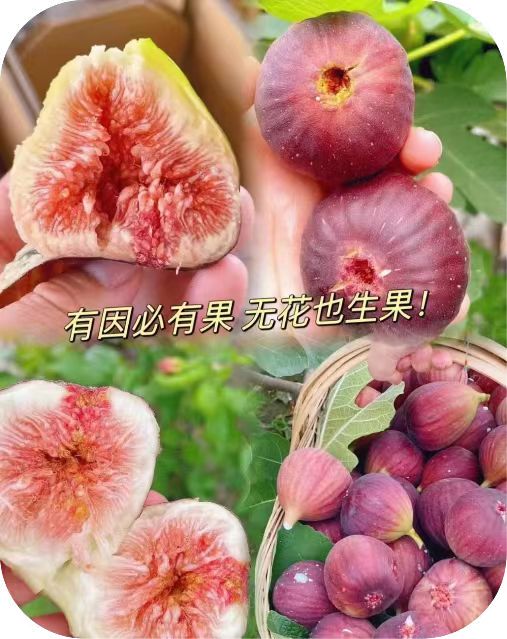 647c4071004d94113639936add12488 647c4071004d94113639936add12488.jpg