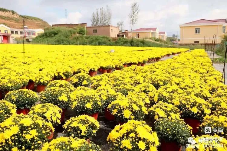 7894593500bd573accfc455aa3fcbe98_640_wx_fmt=jpeg&wxfrom=5&wx_lazy=1&wx_co=1 7894593500bd573accfc455aa3fcbe98_640_wx_fmt=jpeg&wxfrom=5&wx_lazy=1&wx_co=1.jpg