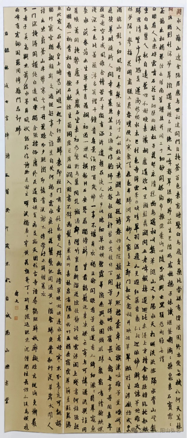 41 41.jpg?v=1772870153787