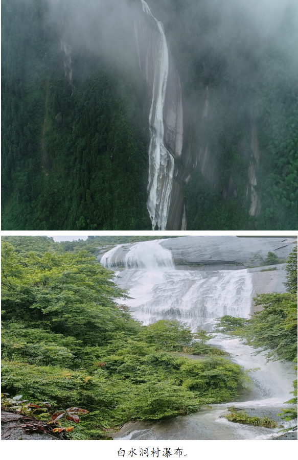 1732242385219 1732242385219.png