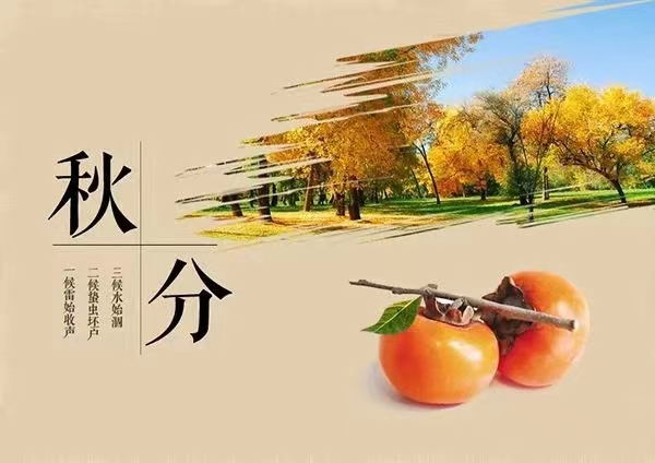 ae7da593dd62860d7f272c38ae8cbd7 ae7da593dd62860d7f272c38ae8cbd7.jpg