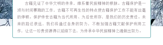 image.png?v=1754275719565