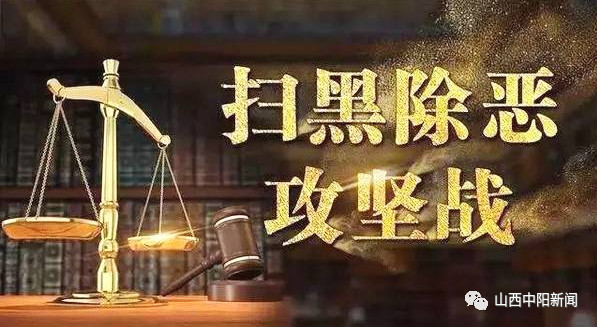 1 1.jpg?v=1764875374891