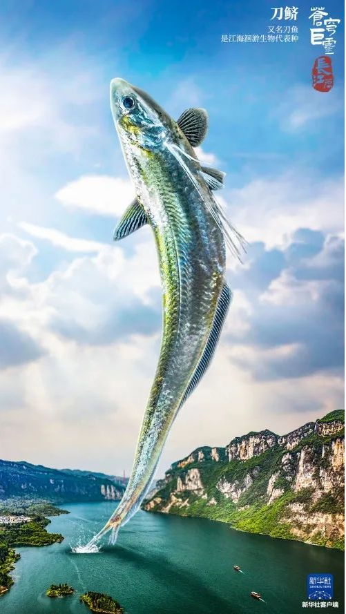 image image.png?v=1763569565657