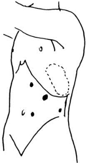 pagenumber_ebook=513,pagenumber_book=498