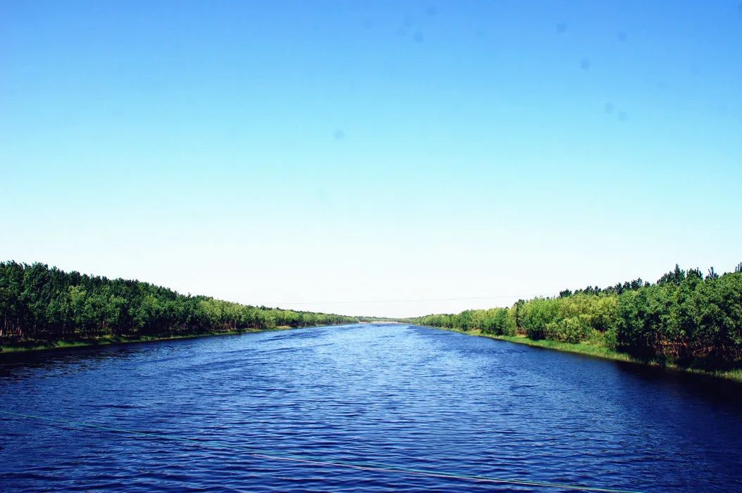 7b50e122ead979213e8f7707dbe29c12.jpg