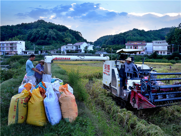 04--aaDSC_2266接收、装袋。 04--aaDSC_2266接收、装袋。.jpg