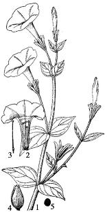 pagenumber_ebook=201,pagenumber_book=201